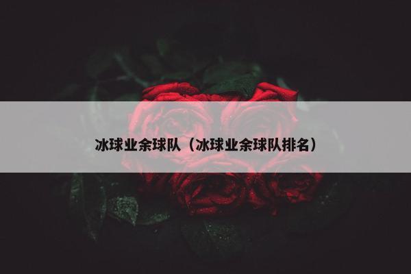 冰球业余球队(冰球业余球队排名) 冰球业余球队(冰球业余球队排名)